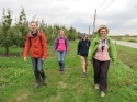 Van Sas tot Sas-wandeltocht, Ieper